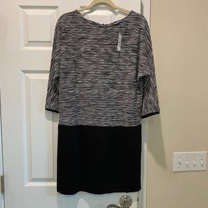 NWT LOFT dress, size 8